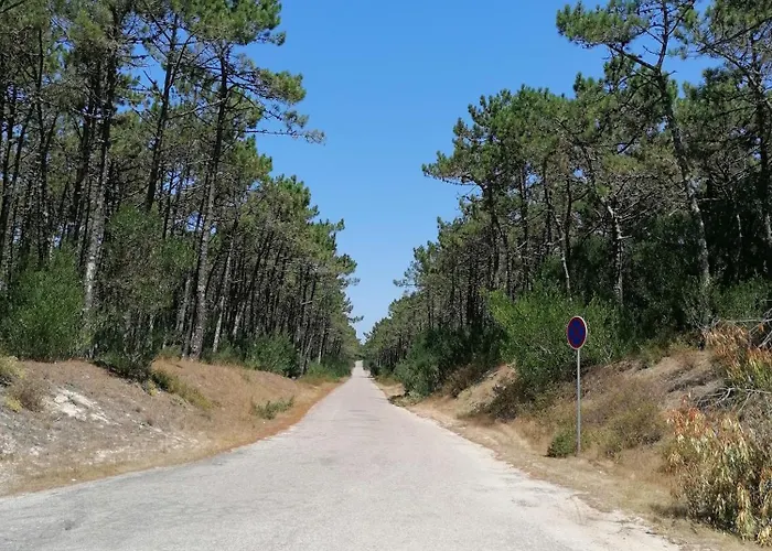 Ria & Mar Daire Ovar